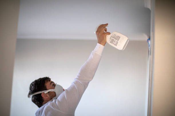 Best Best Mold Removal Companies  in Cheswick, PA