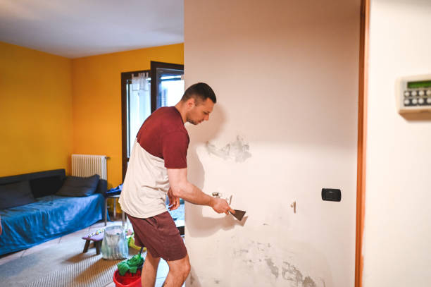 Best Attic Mold Removal  in Cheswick, PA